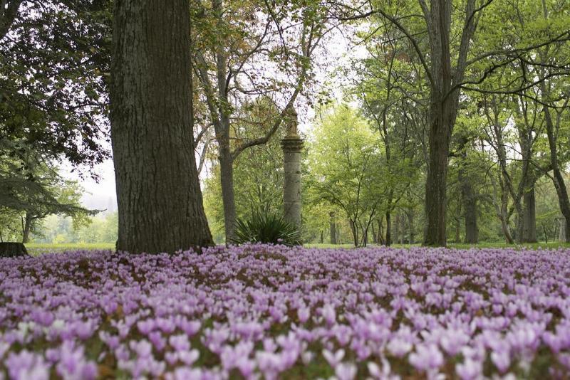 Chateau De Larroque Gimont Eksteriør bilde